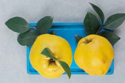 Quince benefits for male and male power