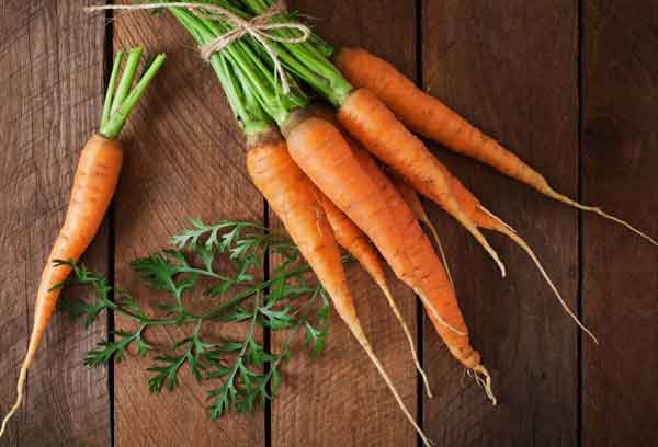  10 benefits of carrot What are the 5 benefits of carrot juice benefits of carrot sexually benefits of eating raw carrots everyday carrot benefits for skin benefits of eating carrot on empty stomach 10 benefits of carrot for skin carrot benefits for men 
