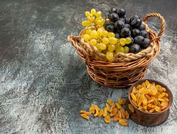  Green grapes benefits for skin and hair Grapes benefits for skin and hair growth Grapes benefits for skin and hair and skin Grapes benefits for skin and hair overnight grapes benefits for skin whitening Red grapes benefits for skin and hair benefits of eating grapes at night White grapes benefits for skin and hair