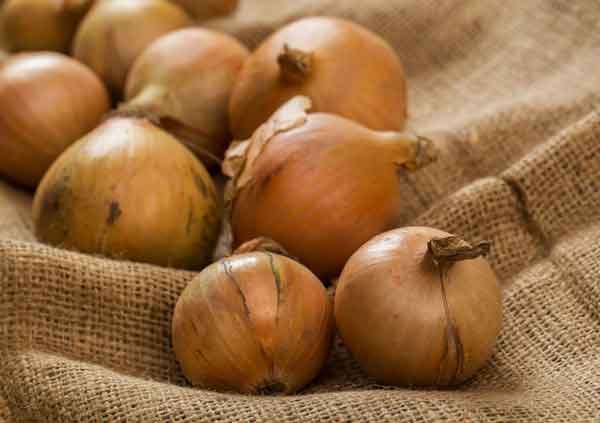  onion juice on face overnight Side effects of onion juice on face whitening Side effects of onion juice on face for wrinkles how to use onion juice for skin whitening benefits of applying onion juice on face benefits of raw onion sexually onion for skin whitening onion juice for skin pigmentation 