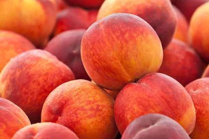 White peach benefits in pregnancy