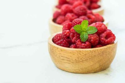 Red raspberry leaf tea benefits female