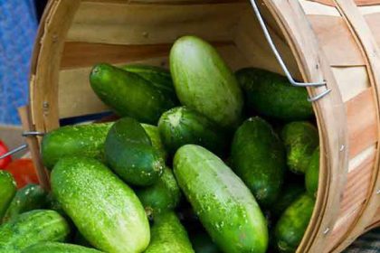 Benefits of cucumber to woman sexually