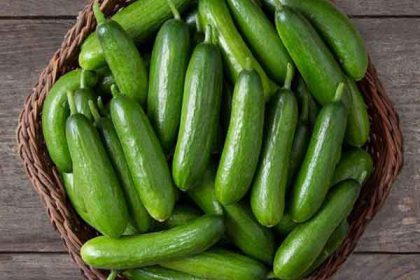 What are the benefits of cucumber to man?