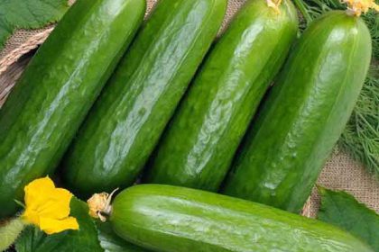 Benefits of cucumber to the skin