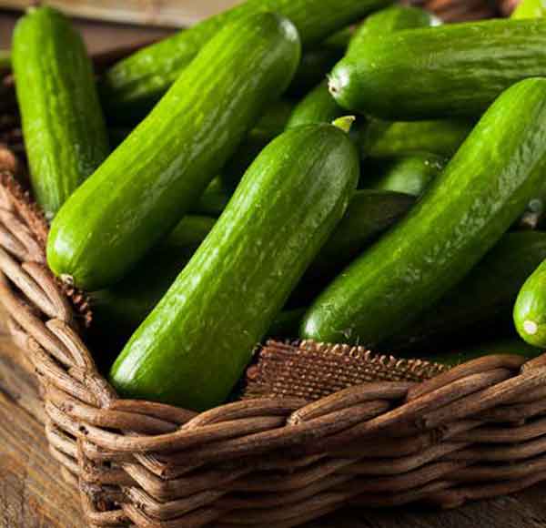  side effects of cucumber on face 10 benefits of cucumber for skin 20 health benefits of cucumber Cucumber benefits for men's skin whitening eating cucumber benefits for skin Cucumber benefits for men's skin lightening Cucumber benefits for men's skin glow cucumber on face overnight