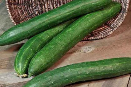 Benefits of cucumber to woman fertility
