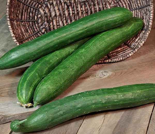  Benefits of cucumber to woman fertility during ovulation Benefits of cucumber to woman fertility during pregnancy fertility juice to get pregnant importance of cucumber sexually is cucumber good for implantation can cucumber cause miscarriage cucumber and male fertility fruits to avoid while trying to conceive