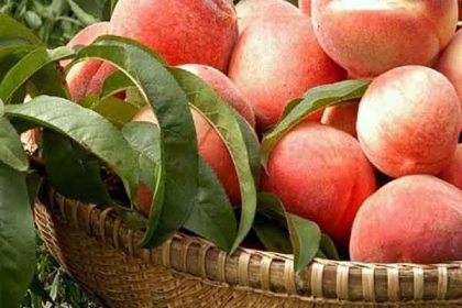 Red peach benefits for skin