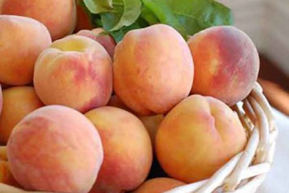 Peach fruit benefits in pregnancy