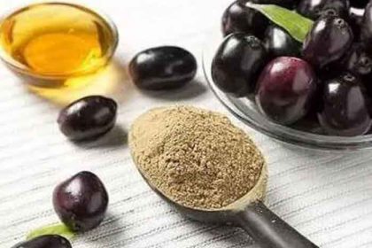 jamun seeds powder benefits for diabetes