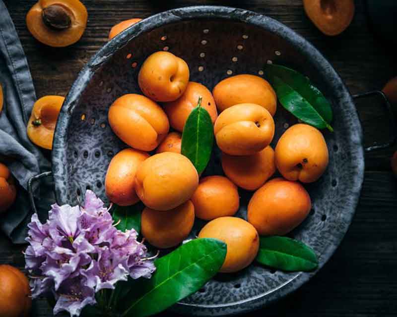 
apricot during pregnancy second trimester
dry apricot benefits in pregnancy
apricot during pregnancy third trimester
apricot during pregnancy first trimester
how to eat apricot during pregnancy
apricot in pregnancy good or bad
how to eat dried apricots in pregnancy
dried apricot during pregnancy first trimester