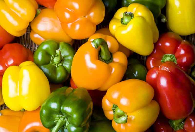 
vitamin c in bell peppers vs. orange
red bell pepper vitamin c
yellow bell pepper vitamin c
which bell pepper has the most nutrients
vitamin c vegetables list
highest vitamin c foods
how much vitamin c per day
do oranges have vitamin c or d