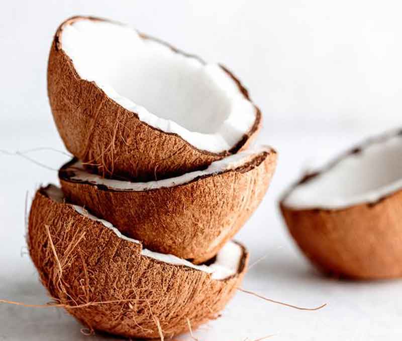 Familiarity with other properties of coconut
We have prepared this section for you to learn more about benefits of coconut.  Benefits of coconut
Coconut contains a lot of fiber; So that it provides 61% of the necessary fiber for the body
Controlling diabetes is another benefit of coconut. Coconut helps to release insulin and use blood glucose.
Cytokines and kinetins in coconut have anti-cancer and anti-aging effects on the body. This means that coconut fights aging and cancer.
Coconut nutrients are great for the immune system. Coconut has anti-viral, anti-fungal, anti-bacterial, and anti-parasitic properties.
Coconut helps increase energy in the body by burning fats. The triglycerides in coconut oil increase energy consumption in the body within 24 hours and lead to long-term weight loss.
Another property of coconut is the fight against cancer. Nutrients in coconut have been proven to have anti-cancer properties. Coconut especially helps in the treatment of colon and breast cancers.
Coconut helps improve blood cholesterol levels in the body and reduces the risk of heart disease.
In this fruit, B1, B2, B3 vitamins, and even vitamin C can be found well.  The disadvantages of coconut
While coconuts have several advantages and are widely used in various industries and cuisines, they also come with a few disadvantages. Here are some disadvantages associated with coconuts:
High in calories and fat: Coconuts are known for their high-calorie content and fat. While coconut meat and milk are delicious and nutritious, they can be problematic for individuals on low-calorie or low-fat diets.
Potential allergenicity: Coconut allergies are relatively rare but do occur. Some individuals may experience allergic reactions such as hives, itching, swelling, or even anaphylaxis upon consumption or contact with coconut products.
High saturated fat content: Coconut products contain a significant amount of saturated fat, which has been associated with increased LDL (bad) cholesterol levels and the risk of heart disease. Although some studies suggest that the specific type of saturated fat in coconuts may have different metabolic effects, it is still recommended to consume them in moderation.
Digestive issues: Coconut meat and milk contain a high amount of dietary fiber, which can be beneficial for digestion in moderate quantities. However, consuming excessive amounts of coconut products may lead to digestive issues such as bloating, diarrhea, or stomach discomfort, especially for individuals with sensitive digestive systems.
Limited availability and high cost: Coconuts are primarily grown in tropical regions, which means they might not be easily accessible or affordable in certain areas. The cost of importing coconuts to non-tropical regions can also be relatively high, making coconut products more expensive compared to other alternatives.
Environmental concerns: The coconut industry has faced criticism for environmental issues such as deforestation and habitat destruction. Some coconut plantations have been established by clearing natural forests, which can lead to the loss of biodiversity and disrupt ecosystems.
It’s important to note that many of these disadvantages are applicable to certain individuals or specific contexts. While coconuts may not be suitable for everyone, they can still be enjoyed as part of a balanced diet by individuals who are not allergic and consume them in moderation.  The benefits of coconut for women
Coconuts offer several potential benefits for women. some of the advantages associated with coconut consumption: Coconuts are packed with essential nutrients that are beneficial for overall health. They contain vitamins such as vitamin C, E, and B-complex vitamins, as well as minerals like potassium, magnesium, and iron. These nutrients support various bodily functions and contribute to overall well-being. Coconuts contain healthy fats that play a crucial role in hormone production and balance. The medium-chain fatty acids (MCFAs) found in coconut oil, in particular, can help support hormone regulation. Balanced hormones are important for menstrual health, fertility, and overall reproductive function in women. Coconut oil and coconut milk are often used in skincare and hair care products due to their moisturizing and nourishing properties. The natural fats in coconuts can help hydrate and soften the skin, promote a healthy scalp, and improve the condition of hair. Additionally, the antimicrobial properties of coconut oil may help combat certain skin conditions. Some studies suggest that consuming coconut products, such as coconut water or coconut oil, may support breast milk production in lactating women. Coconut water is hydrating and rich in electrolytes, which can help maintain adequate fluid balance in the body during breastfeeding. While coconuts do contain saturated fats, they primarily consist of medium-chain triglycerides (MCTs), which are metabolized differently than long-chain fatty acids. MCTs in coconuts, especially lauric acid, may have a neutral or positive impact on heart health when consumed in moderation. They may help raise HDL (good) cholesterol levels and improve overall lipid profile. Coconuts possess antimicrobial, antiviral, and antifungal properties, primarily attributed to the presence of lauric acid. Lauric acid is converted into a compound called monolaurin in the body, which may help fight against various pathogens. A strong immune system is essential for women’s health and well-being.  The benefits of coconut for hair
Coconut has long been recognized for its beneficial properties when it comes to hair care. such as:
Moisturizes and nourishes: Coconut oil is an excellent natural moisturizer for the hair. It helps to seal in moisture, preventing dryness and reducing protein loss from the hair shaft. The oil penetrates the hair strands, providing hydration and making the hair softer, smoother, and more manageable.
Promotes hair growth: The unique composition of coconut oil, including fatty acids such as lauric acid, can help stimulate hair growth. It nourishes the hair follicles, promoting a healthy scalp environment for optimal hair growth. Regular use of coconut oil can contribute to longer, thicker, and healthier-looking hair.
Prevents hair damage: Coconut oil has a protective effect on the hair. It forms a barrier that helps shield the hair from environmental damage, such as sun exposure and heat styling. Applying coconut oil before swimming can also help protect the hair from the damaging effects of chlorine or saltwater.
Controls frizz and enhances shine: Coconut oil can help control frizz by smoothing down the hair cuticles and reducing static. It adds shine and luster to the hair, giving it a healthy and glossy appearance. Coconut oil can be used as a natural alternative to silicone-based hair serums or shine sprays.
Soothes scalp conditions: Coconut oil possesses antimicrobial and anti-inflammatory properties that can help soothe various scalp conditions. It can be beneficial for those dealing with dry scalp, dandruff, or scalp itching. Applying coconut oil to the scalp can moisturize and calm irritation, promoting a healthier scalp environment.
Protects against hair breakage: The nourishing properties of coconut oil help strengthen the hair strands and reduce breakage. Regular use of coconut oil can help minimize split ends and hair damage caused by styling, heat, or chemical treatments.  The benefits of coconut to lose weight
Another property of coconut is weight loss. Studies on this property of coconut state that the medium-chain triglycerides in coconut may help to create a feeling of satiety, burn calories and fat, and thus be useful in weight loss. In addition, the high fiber in coconut meat can increase the feeling of satiety, which is effective in preventing overeating. A 90-day study of 8 adults concluded that those who consumed one-third of a cup (100 grams) of coconut meat per day experienced significant weight loss compared to those who ate the same amount of peanuts or almond oil.  The benefits of coconut for the skin
Eating coconut hydrates and rejuvenates the skin. Increasing blood circulation is another property of coconut. Eating coconut increases oxygen in the skin and helps improve blood circulation in the skin. Our cells need oxygen. The necessary oxygen for the cells is provided only if the blood circulates well in the body. Coconut water removes excess oil from the skin. Coconut water is also very useful in treating acne, dark spots, and skin problems. Another property of coconut is to rejuvenate the skin. Coconut oil is an excellent option for keeping the skin young and beautiful. The antioxidant properties of coconut oil slow down the skin aging process by protecting the skin from free radicals. Massaging a few drops of coconut oil on the skin keeps the skin soft and healthy. Massage coconut oil into your skin before you shower. This will help unclog the clogged pores and allow the oil to absorb better into the skin.  The benefits and complications of coconut water
Coconut water is a refreshing beverage that is known for its potential health benefits. However, it also has some considerations and complications.
Benefits of Coconut Water:
Hydration: Coconut water is an excellent natural hydrator due to its high water content and electrolyte composition. It contains essential electrolytes like potassium, sodium, magnesium, and calcium, which help replenish electrolyte levels in the body and maintain proper hydration.
Nutrient-rich: Coconut water is rich in vitamins, minerals, and antioxidants. It contains vitamin C, B-complex vitamins, and minerals like potassium, magnesium, and manganese. These nutrients contribute to overall health and may support various bodily functions.
Low in calories: Coconut water is relatively low in calories compared to many other beverages. It can be a healthier alternative to sugary drinks or sodas when seeking hydration.
Digestive health: Coconut water is known for its potential benefits for digestive health. It contains fiber, which can support regular bowel movements and help prevent constipation. Additionally, the natural enzymes present in coconut water may aid in digestion.
Potential antioxidant properties: Coconut water contains antioxidants that help neutralize harmful free radicals in the body. These antioxidants may have protective effects against oxidative stress and certain chronic diseases.
Complications and Considerations of Coconut Water:
Natural sugar content: While coconut water is low in calories, it still contains natural sugars, primarily in the form of fructose. Individuals with diabetes or those watching their sugar intake should be mindful of their consumption and consider consulting with a healthcare professional.
Limited protein and fat content: Coconut water is not a significant source of protein or fat. While it is hydrating, it does not provide substantial amounts of macronutrients. If you rely solely on coconut water for extended periods, you may not be getting sufficient protein and fat for a balanced diet.
High potassium content: While potassium is essential for many bodily functions, excessive intake can be problematic for individuals with kidney issues or those taking certain medications that affect potassium levels. It’s important to consult with a healthcare professional if you have any concerns regarding potassium intake.
Allergic reactions: Although rare, some individuals may have allergies or sensitivities to coconut water. If you experience any adverse reactions such as hives, itching, or swelling after consuming coconut water, discontinue use and seek medical attention.
Natural variability: The taste and composition of coconut water can vary depending on the maturity of the coconut and other factors. Some people may find the taste of coconut water unpleasant or acquire a preference for specific brands that suit their taste preferences.
It’s important to note that coconut water should not replace medical treatments or professional advice. While it offers potential benefits, individual responses may vary. Moderation and considering personal health factors are key when incorporating coconut water into your diet.