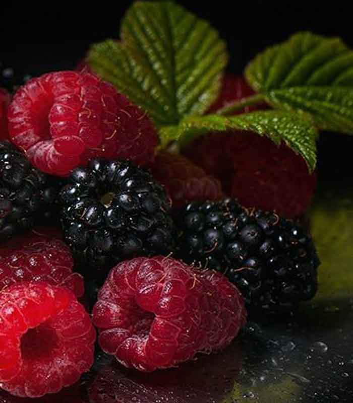 
what are the dangers of eating raspberries
how many raspberries should i eat a day to lose weight
5 fruits to avoid for weight loss
10 health benefits of raspberries
fruit diet for weight loss in 7 days
what happens if you eat blackberries everyday
are blueberries good for weight loss
raspberry benefits for female