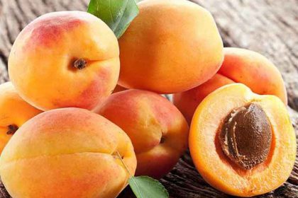 Dried apricots soaked in water benefits for weight loss