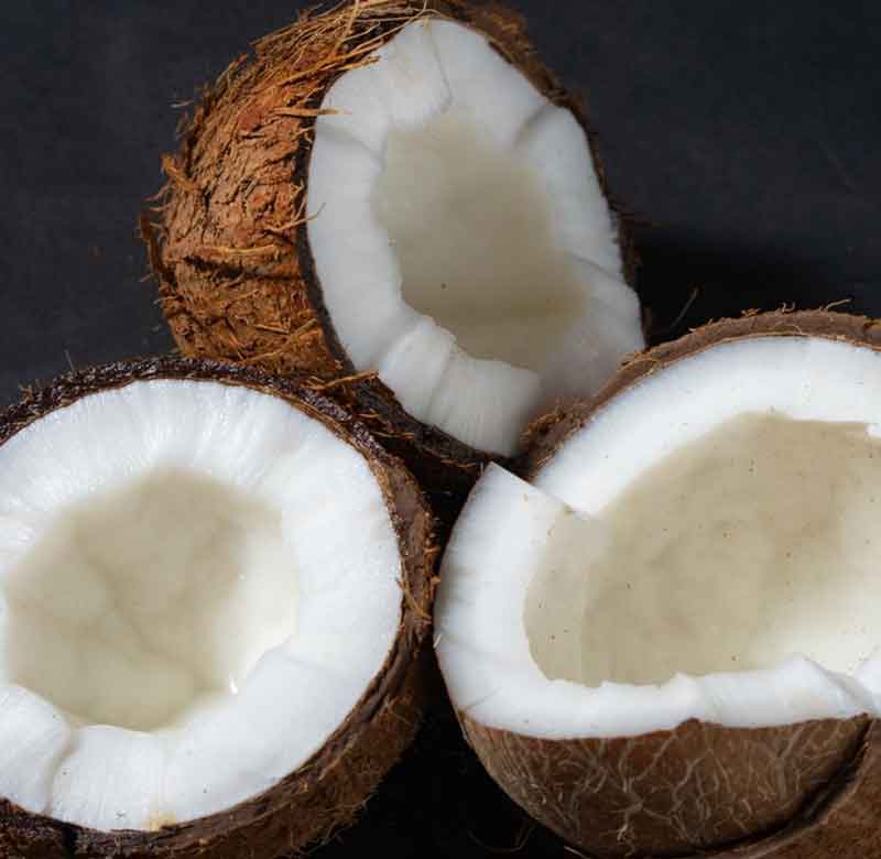 
Eating coconut benefits for skin and hair whitening
Eating coconut benefits for skin and hair overnight
Eating coconut benefits for skin and hair loss
Eating coconut benefits for skin and hair growth
disadvantages of eating coconut
Eating coconut benefits for skin and hair and skin
benefits of eating raw coconut
coconut benefits for female